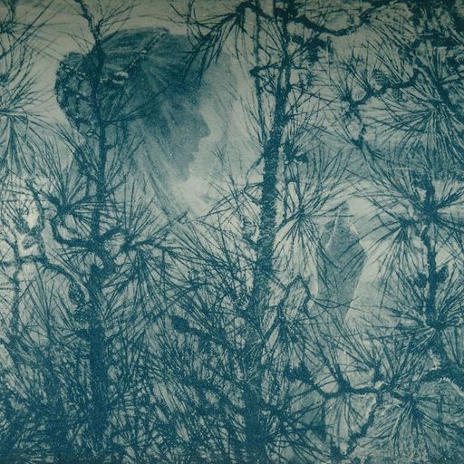 Winter Light / Summer Heat #282 A Pattern Like Pine Needles