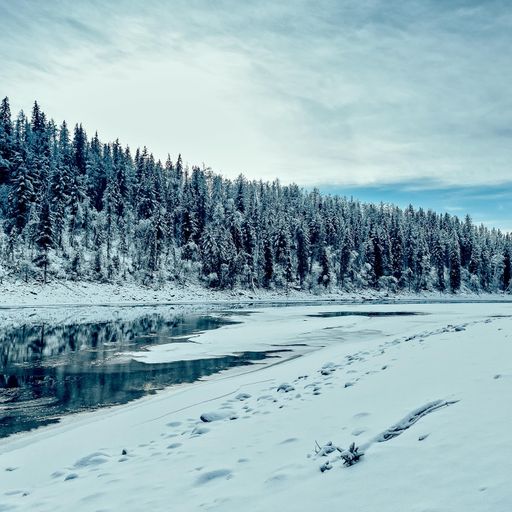 A century in the Siberian wilderness: the Old Believers who time forgot