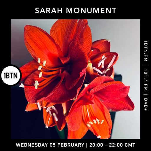 Sarah Monument - 05.02.25