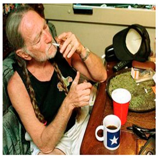 A Tokers Delight Vol.6