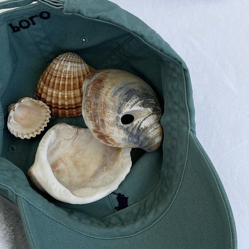 Imagine Peace w/ MJI - 4th January 2026