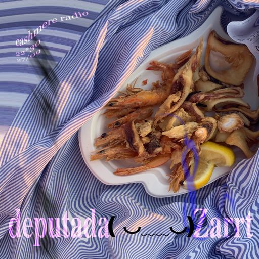 Perlmutt aka Pearlescent #50 w/ Deputada & Zarrt – high dolphins 22.02.2026