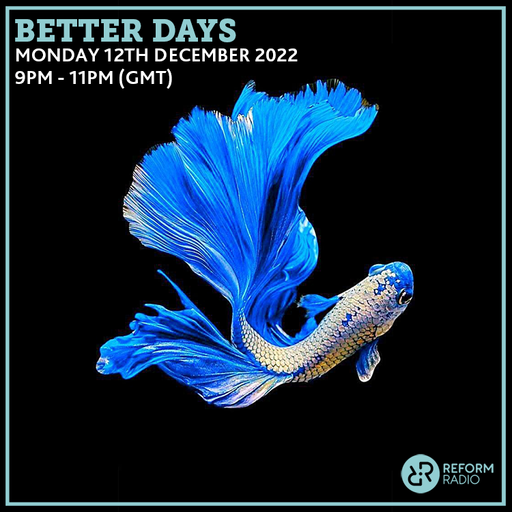 Better Days 12th December 2022