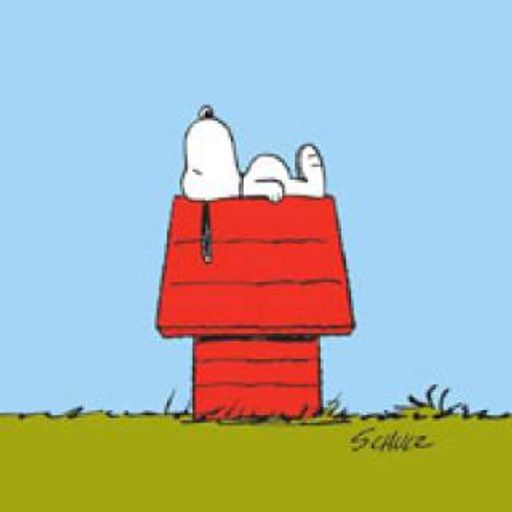Stay In Bed Sunday - January 2020