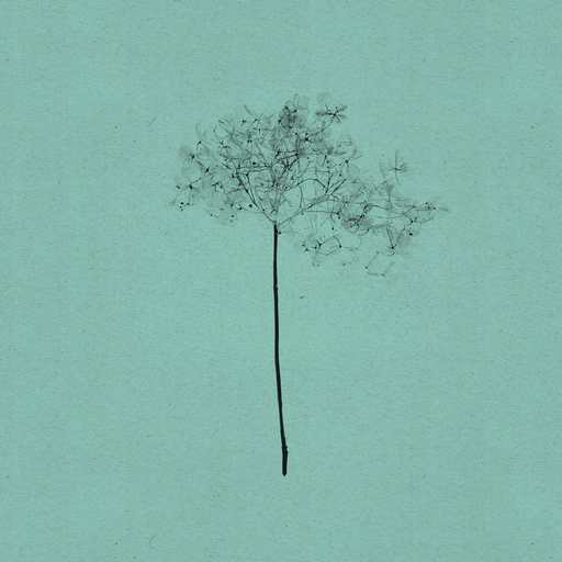 I Fall Apart | A Folk Funk & Trippy Troubadours Mix