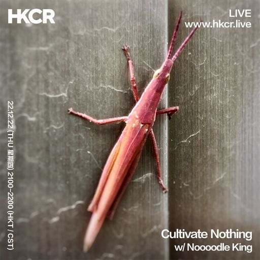 Cultivate Nothing w/ Noooodle King - 22/12/2022
