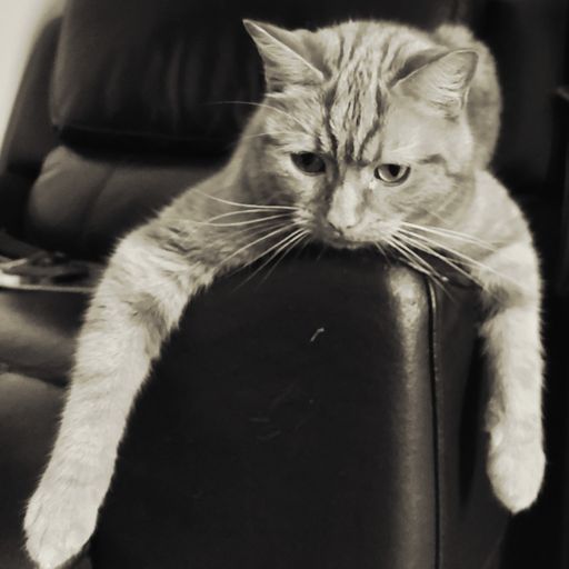 WMMU 20. - Jazz & hip hop. (10/06/23)