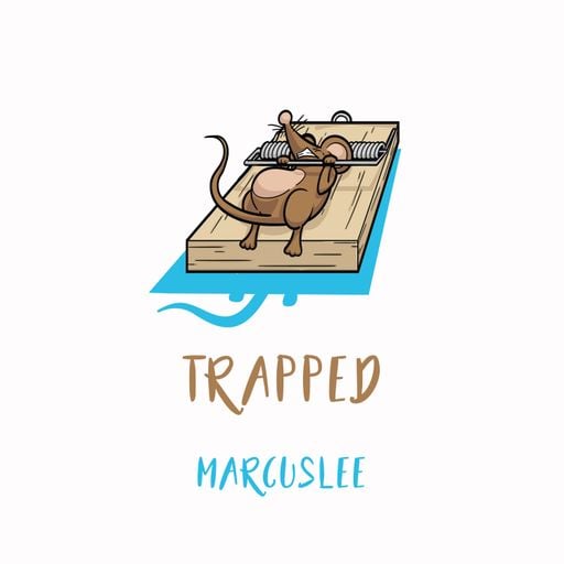 Mix Series - TRAPPED
