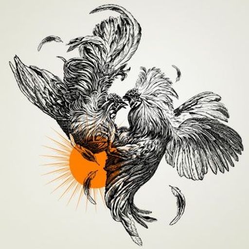 rooster