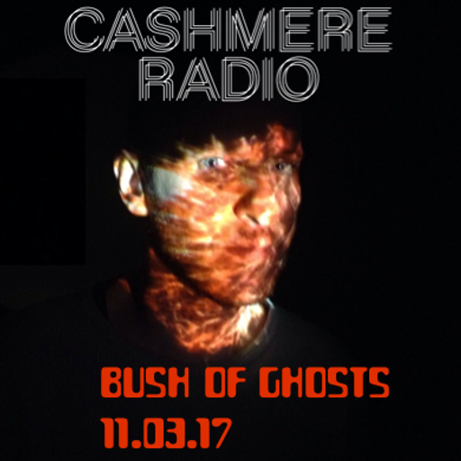 Bush of Ghosts #11 with David Tinning