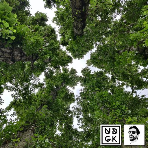 Rich_Mathias - Rich Mathias - Let's Take A Trip 001 - Trip into the woods (UDGK: 21/09/2021)
