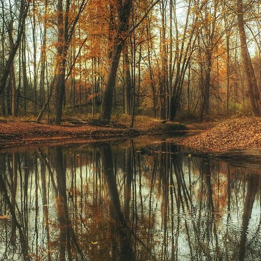Naviar Broadcast #384 - The Coming of Autumn - 22 October 2025