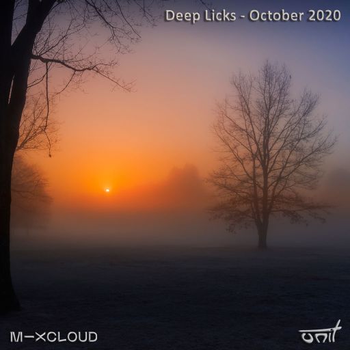 Deep Licks - October 2020