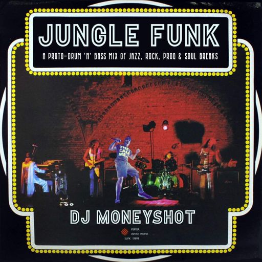 Jungle Funk - DJ MONEYSHOT