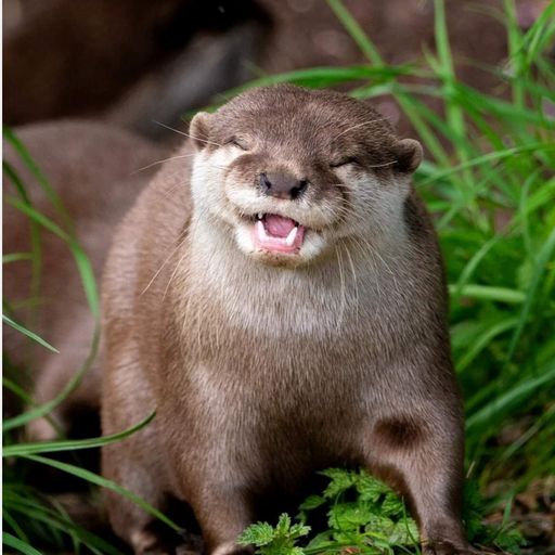 Steve Lewis wednesday simulcast with too hot radio 30th Oct 24