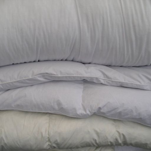 Duvet Rustling Jazz 14 January Shhhhhesshhhhhion.