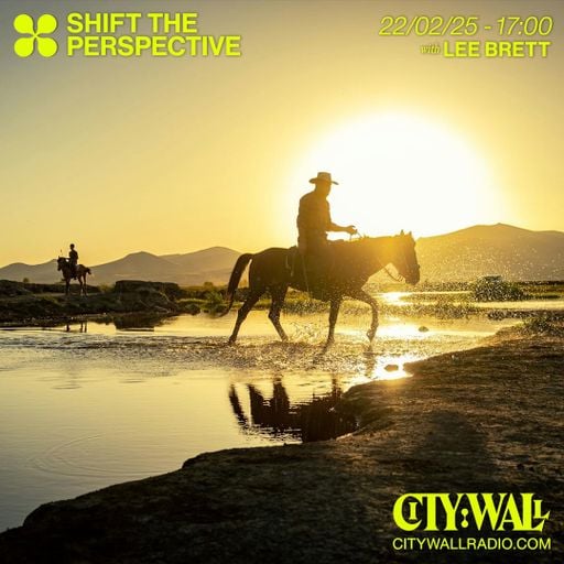 Shift The Perspective w/ Lee Brett - February 2025