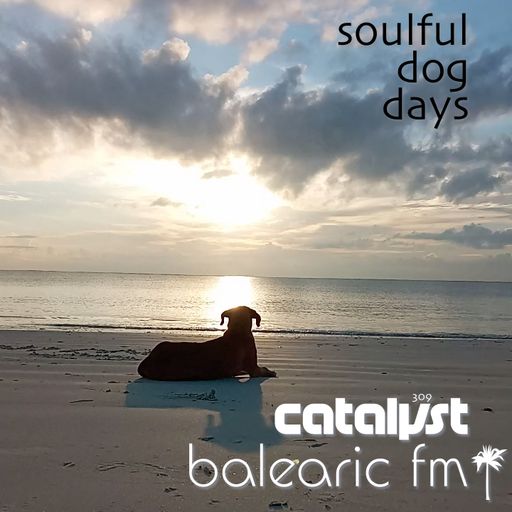 soulful dog days (catalyst, 309)