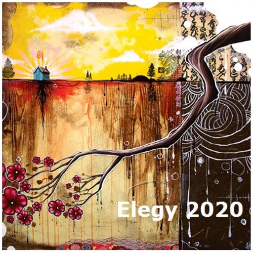 Elegy 2020