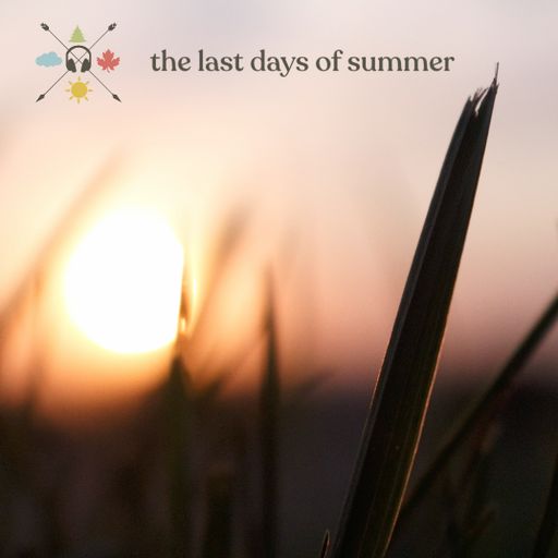 Seasonal Cycles - The Last Days of Summer