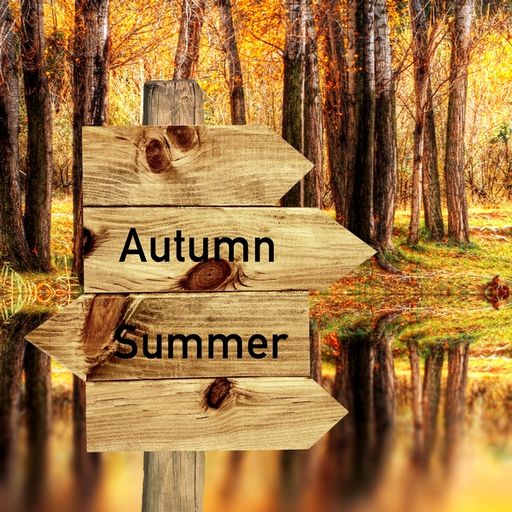 Betty Mix - Fall Is Coming