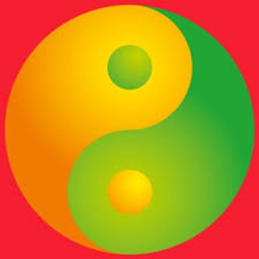 STEFADO for Waves Radio #11