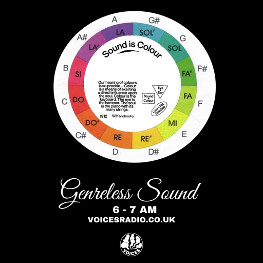 GENRELESS SOUND - 22/11/24 - Voices Radio
