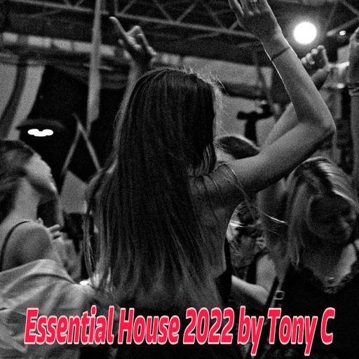 Essential House 2022 Vol.13 27/11/22
