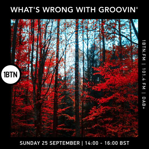 What's Wrong With Groovin' - 25.09.2022