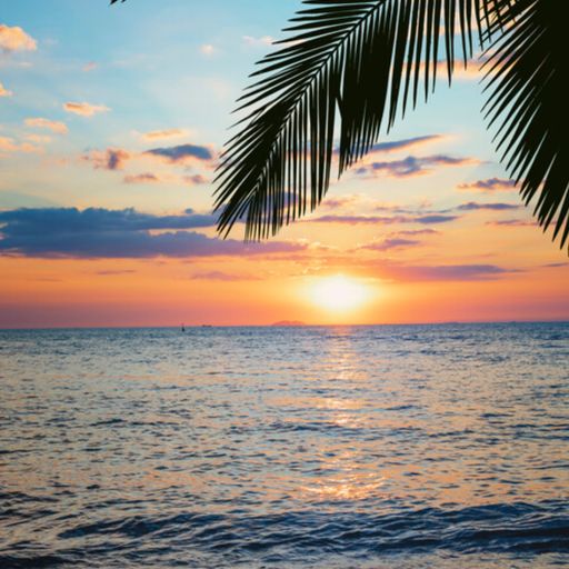 Summer Nights Afro House Mixed by Jamie S