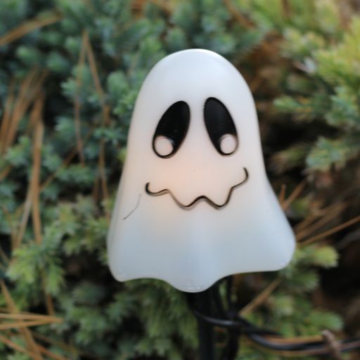 Halloween Special 