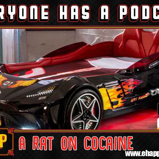 A Rat on Cocaine
