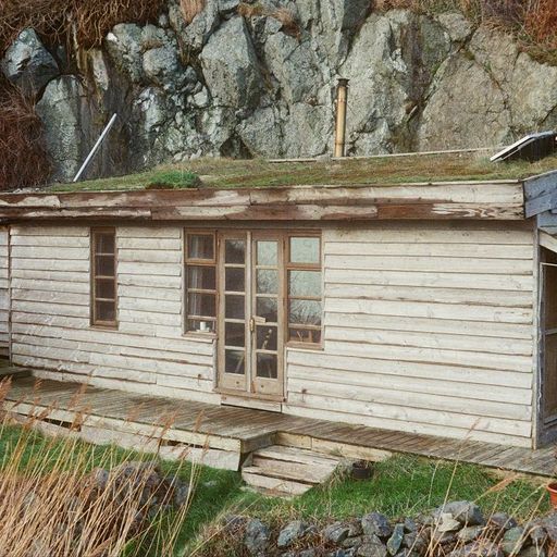 Ono w/ JC Leisure Group - Low Tide, Hi Grypus! - 7th March 2026