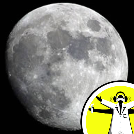 What if a Meteorite Destroyed the Moon?