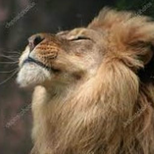 Merengues - 4TM Exclusive - Deep Progressive Native House