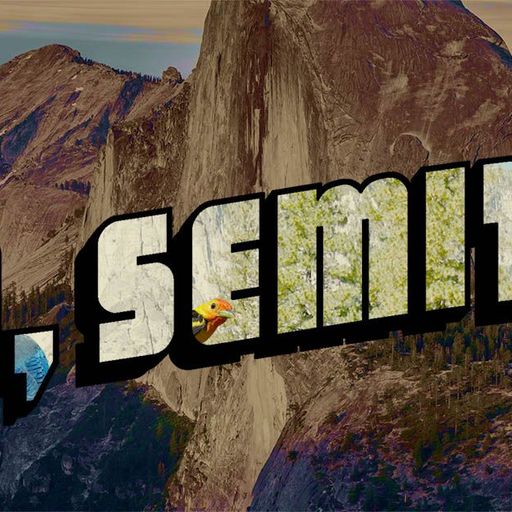 Yo Semite! Radio Corona #28