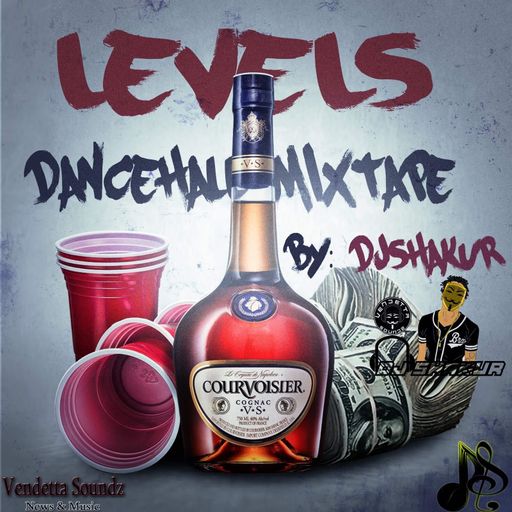 DJ Shakur - Levels