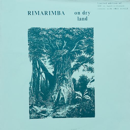 SONIC PROTEST 2024 MIX#2 - MORNING CRUISING WITH ROBERT COX [THE SAME / RIMARIMBA] - PART ONE