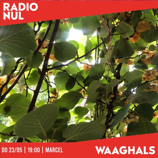Marcel - Waaghals / 23-05-2024
