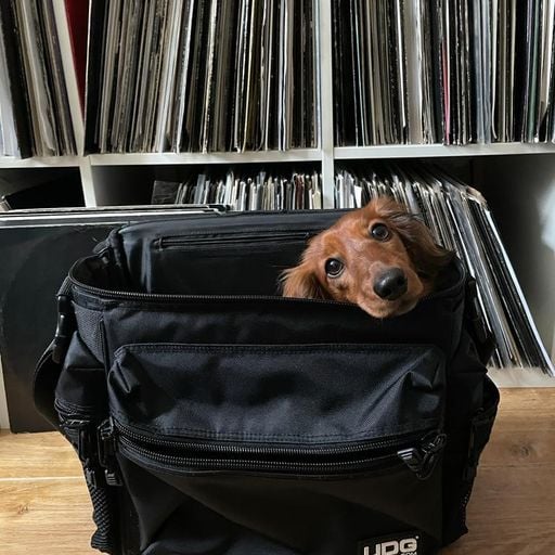 Hidden Rooms w/ Danny Hill - 25/01/23