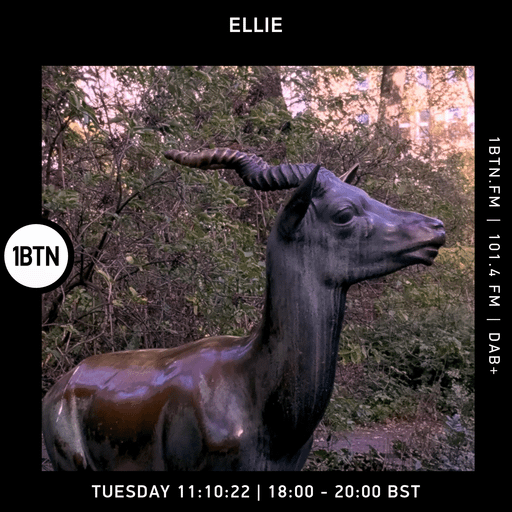 Ellie - 11.10.2022