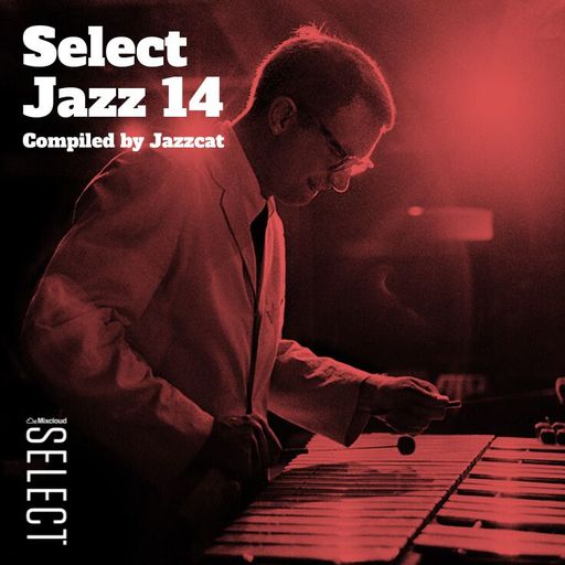 Select Jazz 14