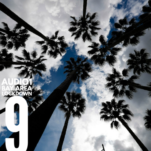 BAY AREA LOCKDOWN 9