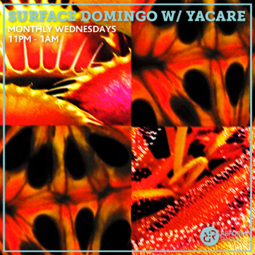 Surface Domingo w/ Yacare 24th June 2020