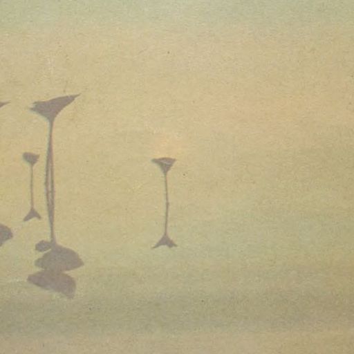 Forager Records - 26th February 2026