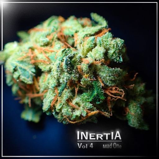 INERTIA Vol 4