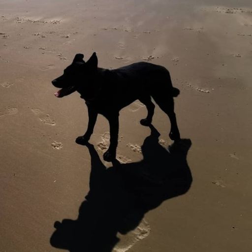 4Colours - One Foot In The Chill (02/06/21)