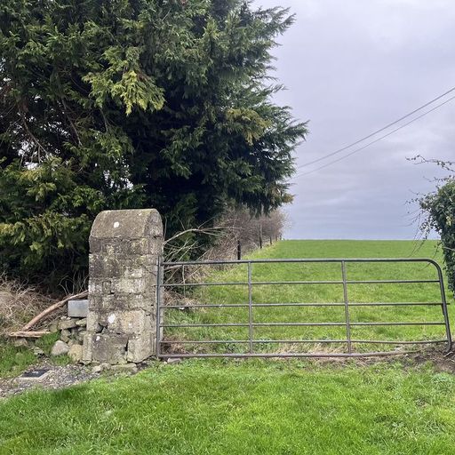 The Slip - 11th January 2026