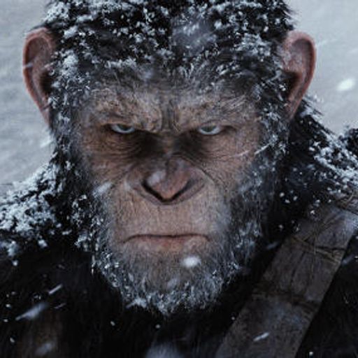 Hoxton Movies review The Beguiled & War for the Planet of the Apes