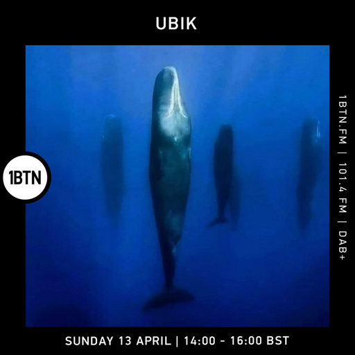 UBIK - 13.04.25